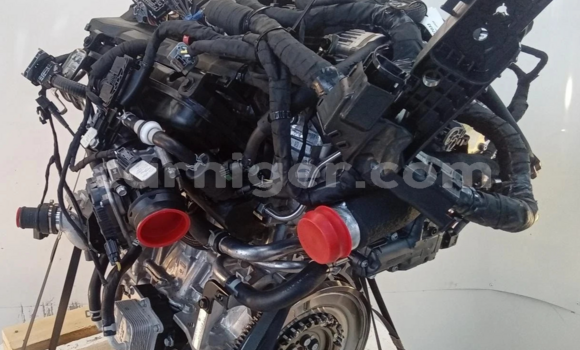 Medium with watermark s l16002