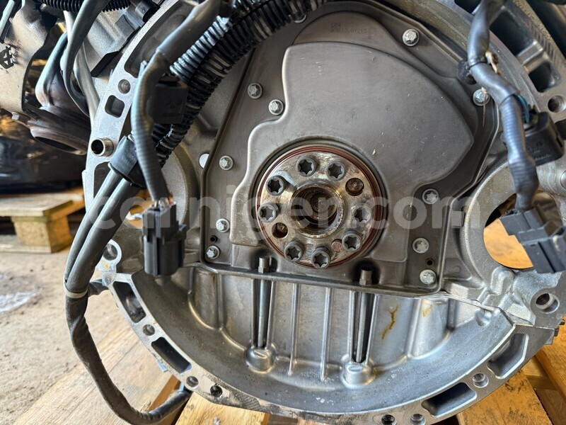 Big with watermark 10