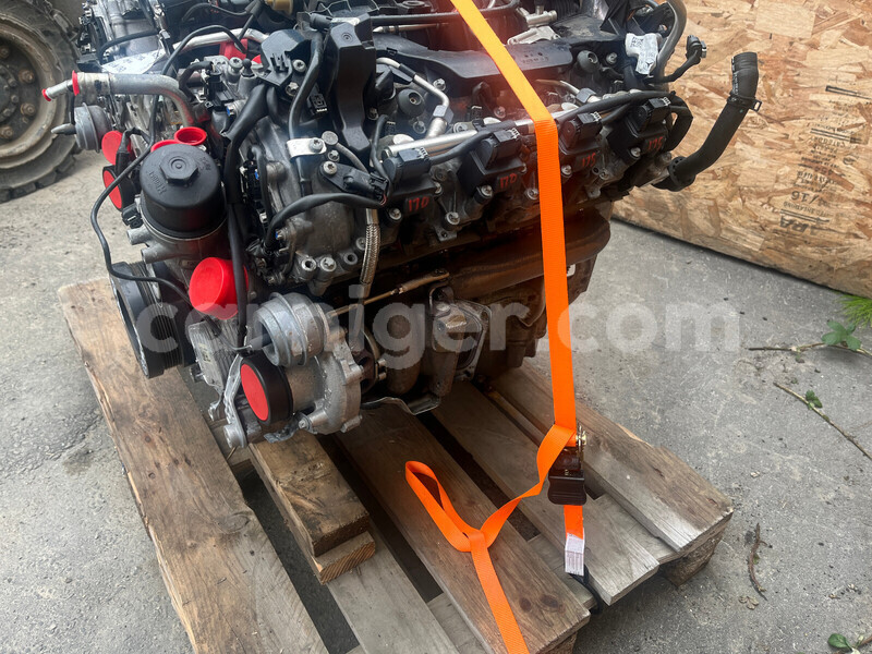 Big with watermark d