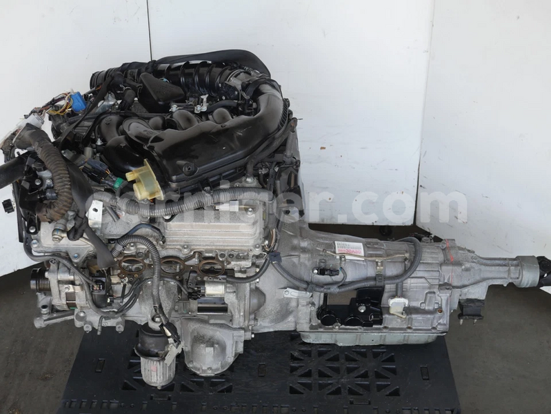 Big with watermark image d