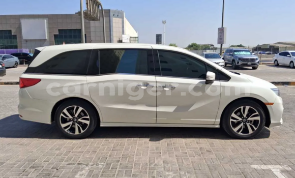 اشتري مستعمل Honda Odyssey White سيارة في نيامي في نيامي اشتري مستعمل Honda Odyssey White سيارة في نيامي في نيامي