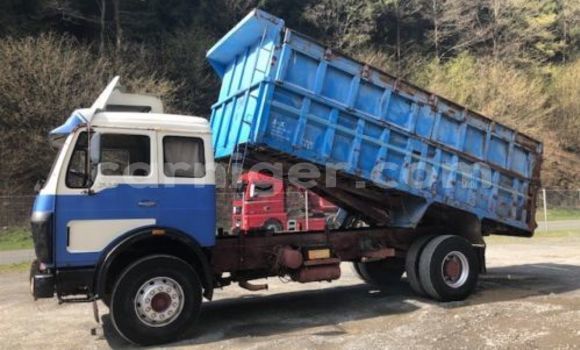 Buy Used Mercedes‒Benz 1922 Blue Truck in Agadez in Agadez Buy Used Mercedes‒Benz 1922 Blue Truck in Agadez in Agadez