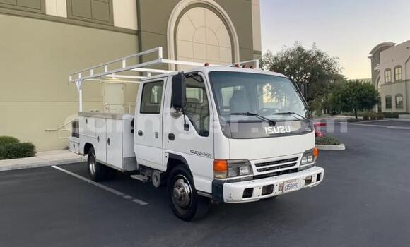 Acheter Occasion Utilitaire Isuzu FTR 850 Blanc à Niamey, Niamey
