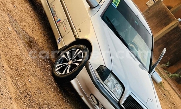 Acheter Occasion Voiture Mercedes Viano Gris à Niamey, Niamey