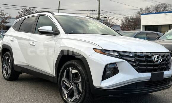 Acheter Occasion Voiture Hyundai Tucson Blanc à Niamey, Niamey
