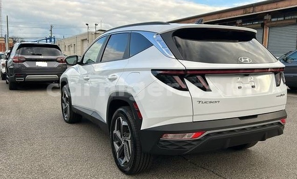 Buy Used Hyundai Tucson White Car in Niamey in Niamey Buy Used Hyundai Tucson White Car in Niamey in Niamey