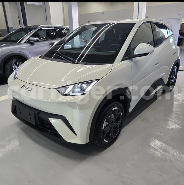 Big with watermark byd seagull niamey niamey 8520