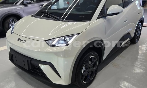 Acheter Occasion Voiture BYD Seagull Blanc à Niamey, Niamey