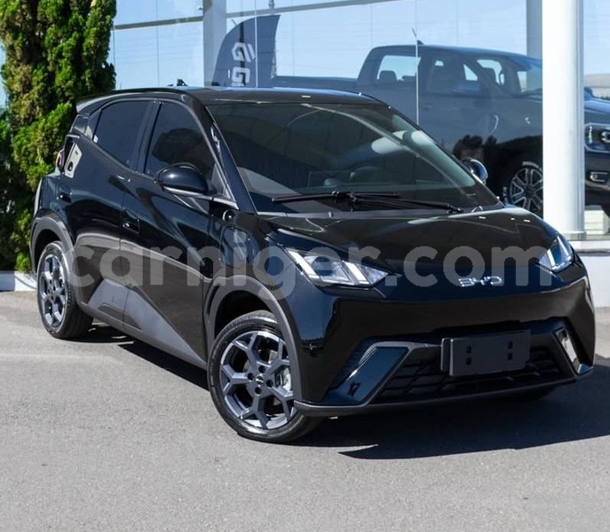 Big with watermark byd seagull niamey niamey 8520