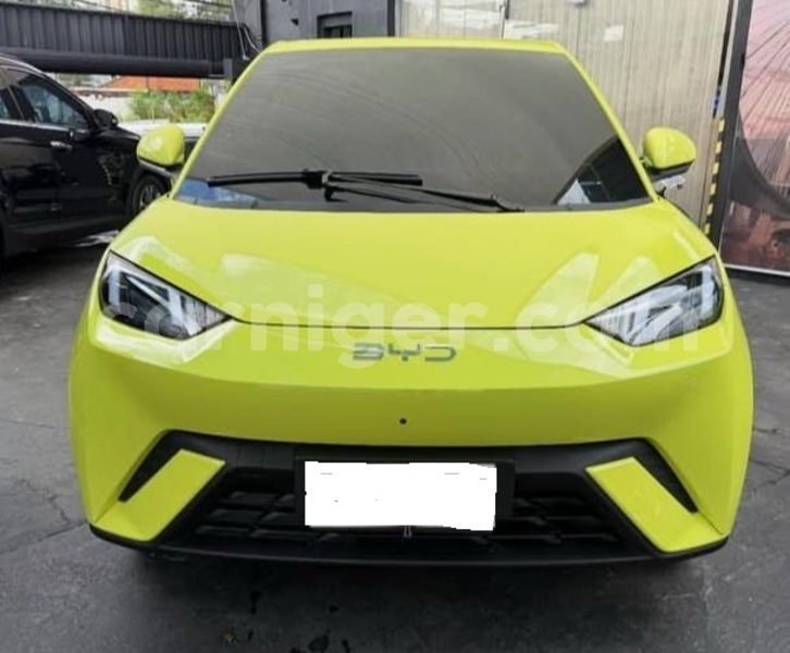 Big with watermark byd seagull niamey niamey 8520