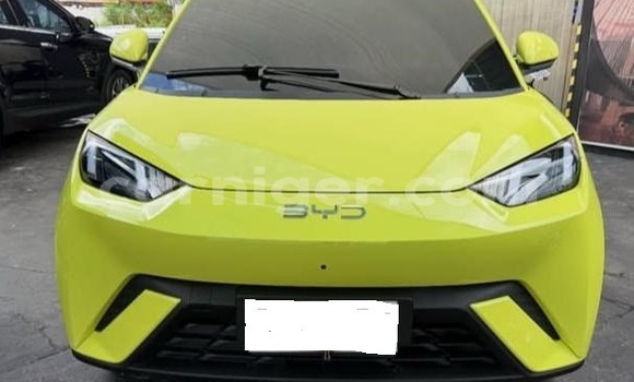 Buy Used BYD Seagull White Car in Niamey in Niamey Buy Used BYD Seagull White Car in Niamey in Niamey