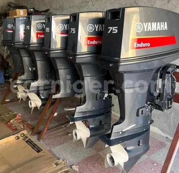 Big with watermark 75