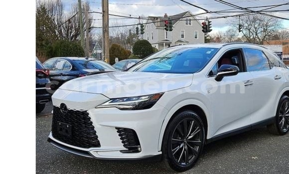 Sayi Na hannu Lexus RX 350 White Mota in Niamey a Niamey