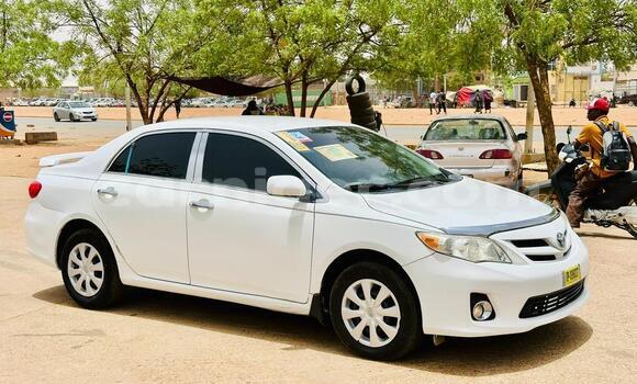 Acheter Neuf Voiture Toyota Corolla Blanc à Niamey, Niamey Acheter Neuf Voiture Toyota Corolla Blanc à Niamey, Niamey