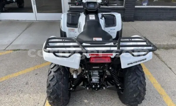 اشتري جديد Kawasaki Brute Force White دراجة نارية في Gazaoua في مرادي اشتري جديد Kawasaki Brute Force White دراجة نارية في Gazaoua في مرادي