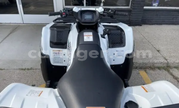 اشتري جديد Kawasaki Brute Force White دراجة نارية في Gazaoua في مرادي اشتري جديد Kawasaki Brute Force White دراجة نارية في Gazaoua في مرادي