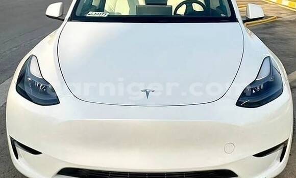 Acheter Occasion Voiture Tesla Model X Blanc à Niamey, Niamey