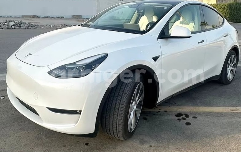 Big with watermark tesla model x niamey niamey 8588