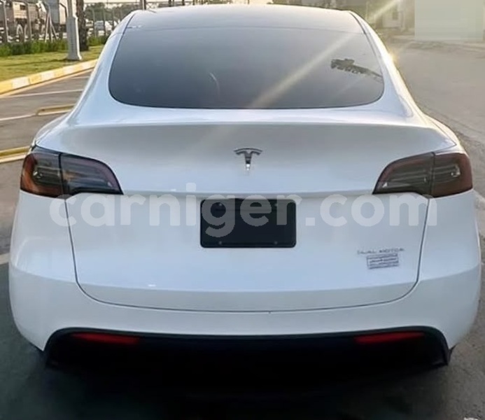 Big with watermark tesla model x niamey niamey 8588