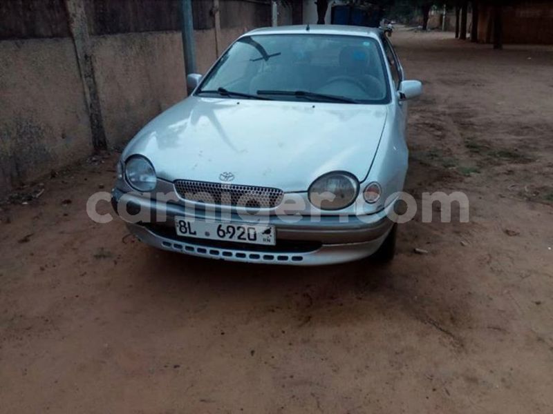 Big with watermark 42435076 713628862331378 1691674780513599488 n